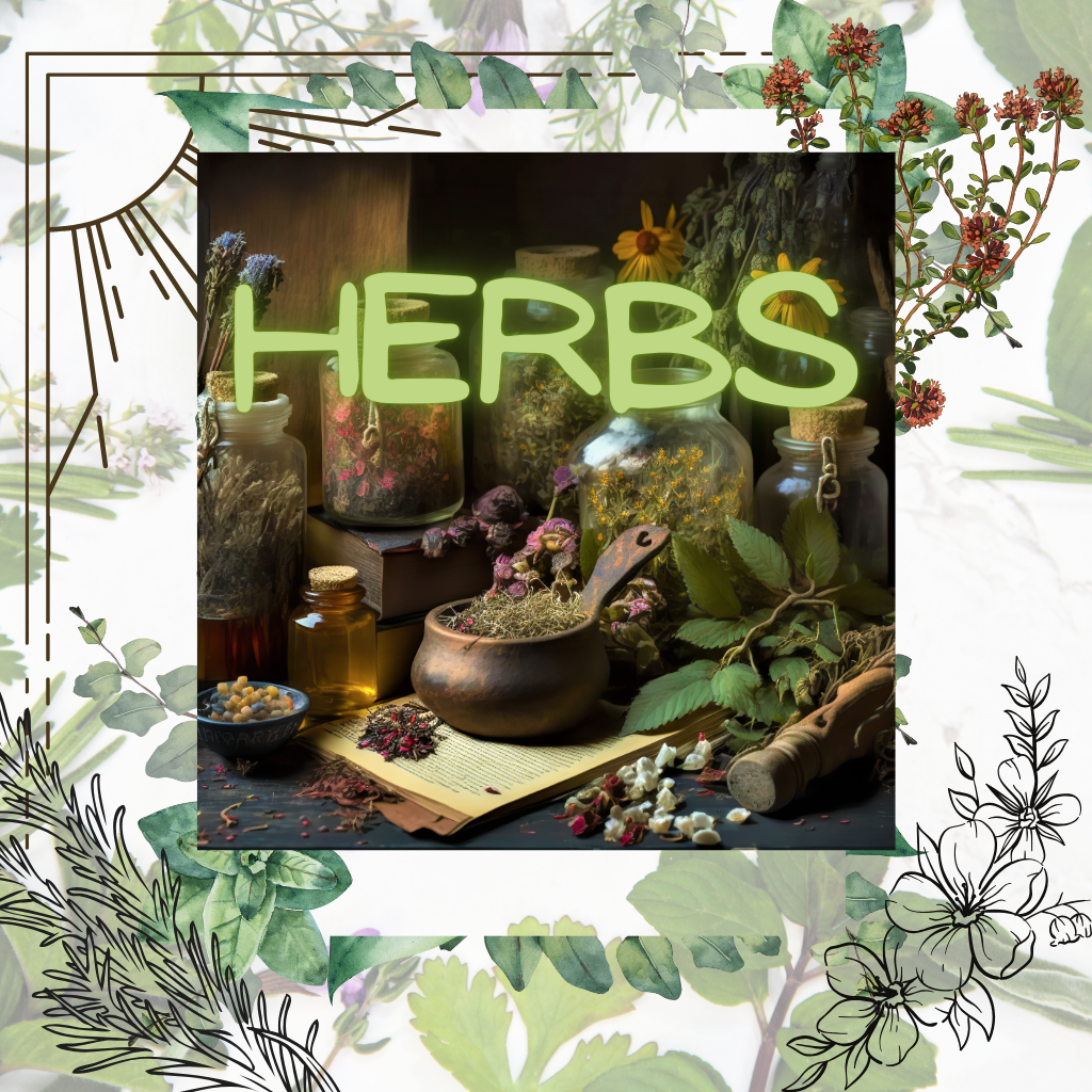 Herbs/Mortar &Pestals
